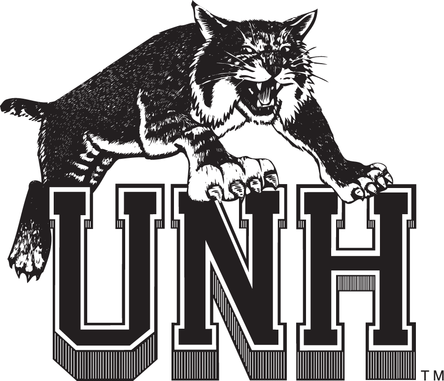 New Hampshire Wildcats 1993-2000 Secondary Logo v4 diy iron on heat transfer